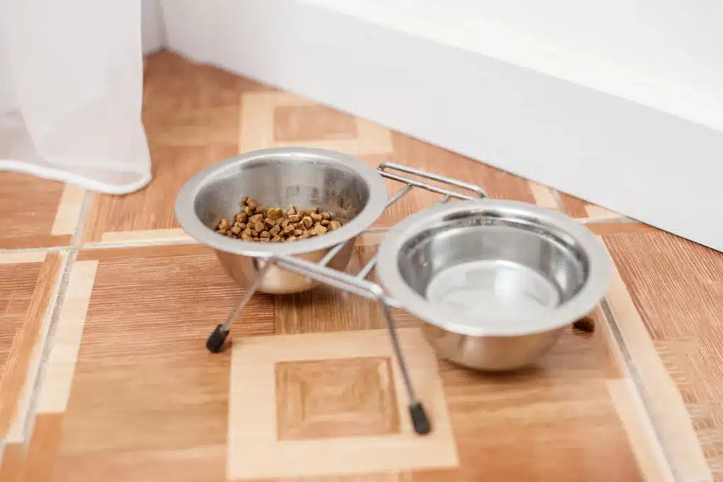 protecting pet bowls from damaging floors